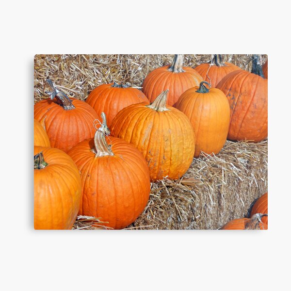 Pumpkin Parade Metal Print