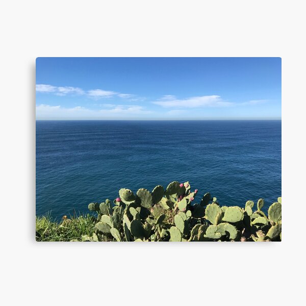 “Cactus by the sea” Canvas Print by Screamingsun | Redbubble