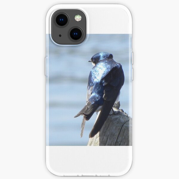 Tree swallow iPhone Soft Case