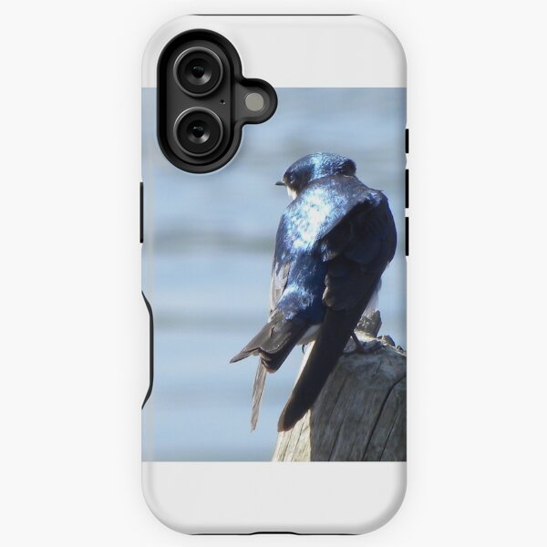 Tree swallow iPhone Tough Case