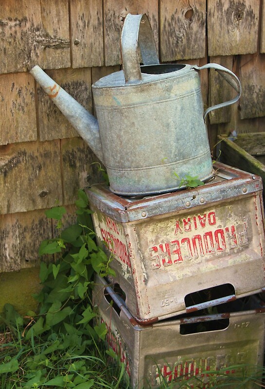 "Don't Kick the Bucket" by hmoles Redbubble