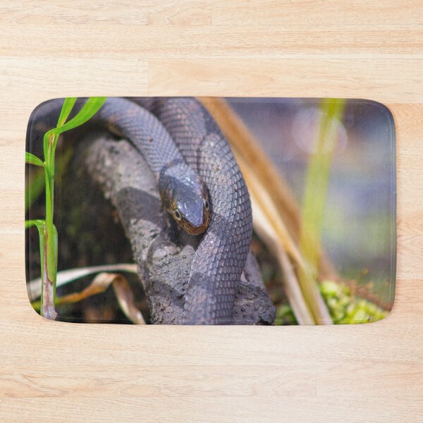 Item preview, Resting Black Snake designed and sold by CLSArtistries.