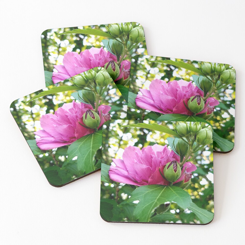 Item preview, Coasters (Set of 4) designed and sold by MGStrack.
