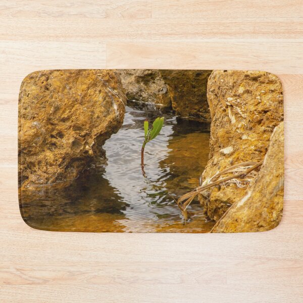 Item preview, Sapling in Tampa Bay designed and sold by CLSArtistries.