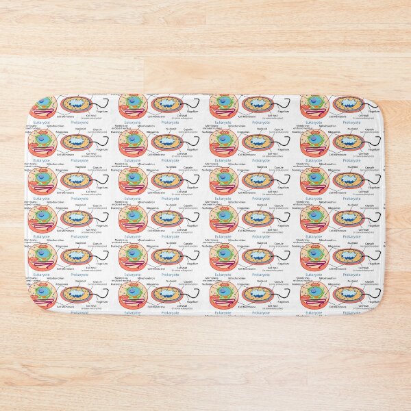 Item preview, Biology- Cell Types Eukaryote Prokaryote designed and sold by InvestorQuotes.