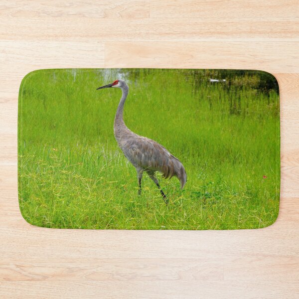 Item preview, Strolling Sandhill Crane designed and sold by CLSArtistries.