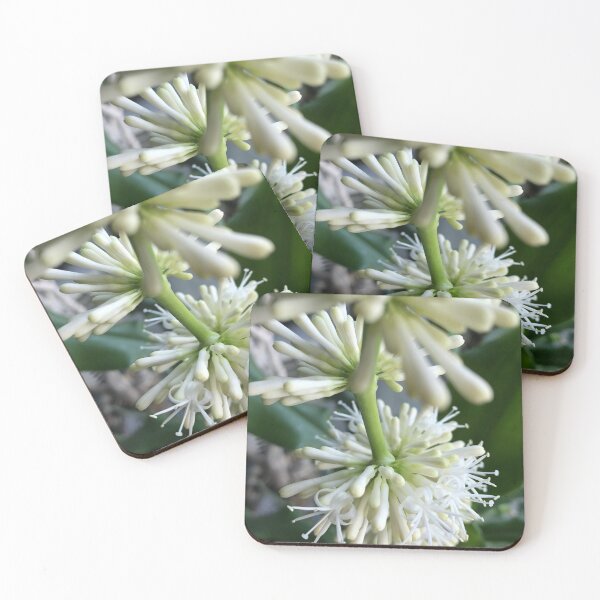 Item preview, Close-Up Of Flowering Plant designed and sold by Screamingsun.