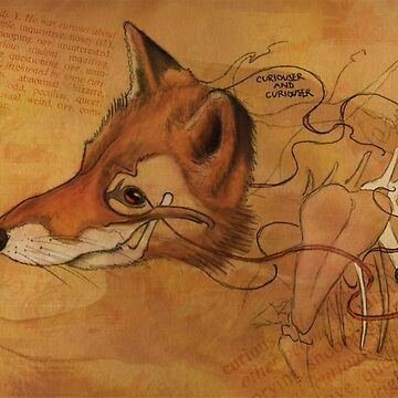 Artwork thumbnail, Curious Mr.Fox by Samuel Hardidge