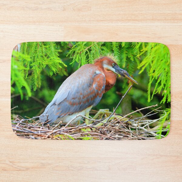 Item preview, Nesting Tricolored Heron designed and sold by CLSArtistries.