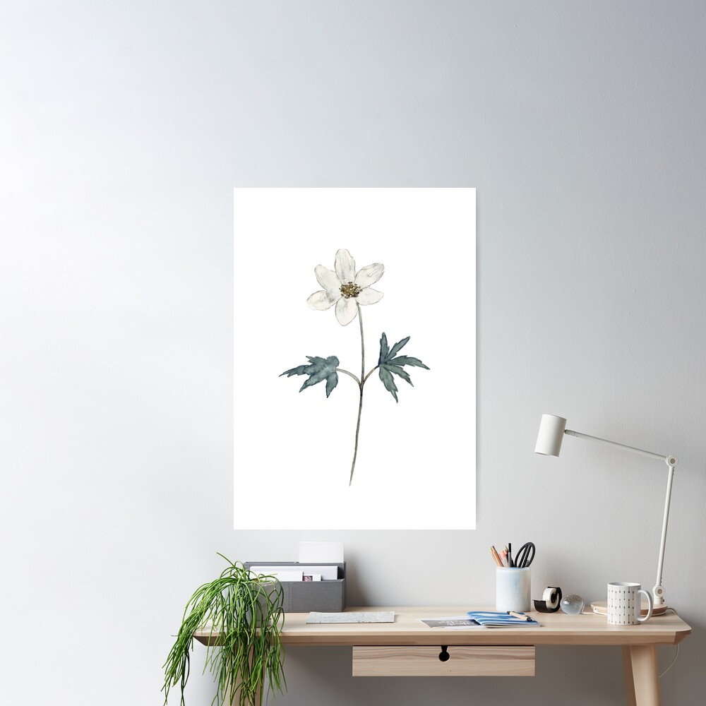 Anemone Forest Flowers Poster Decor\