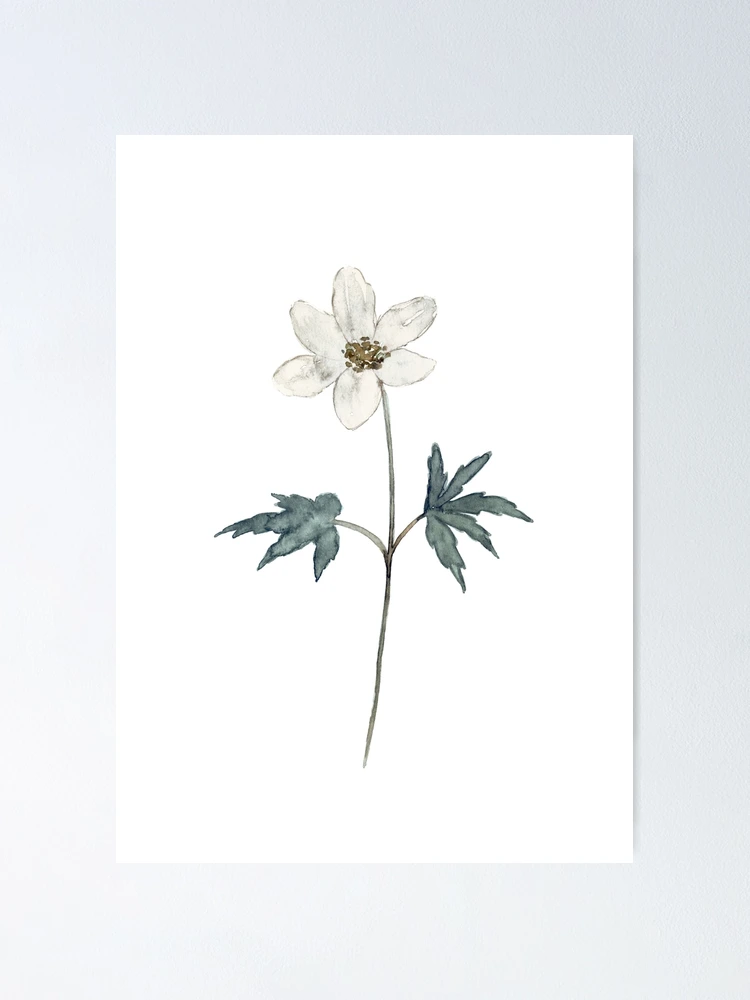 Nursery Flowers Home Poster Redbubble \