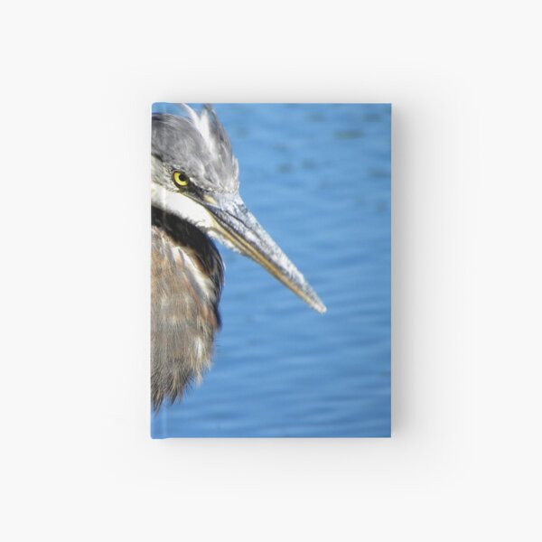 Great blue heron Hardcover Journal