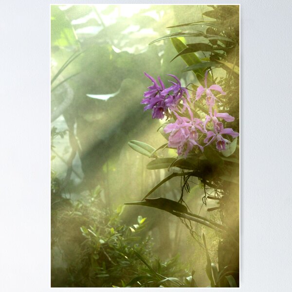 Item preview, ¡Selva! designed and sold by vasu.