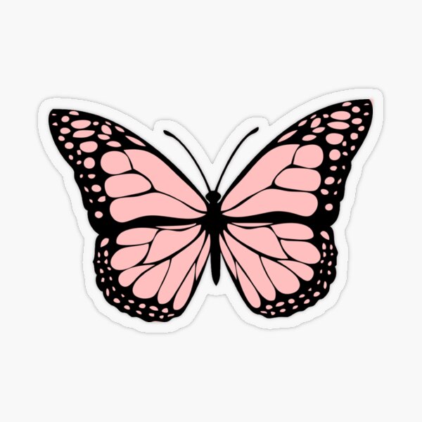 Vsco Stickers Redbubble Transparent