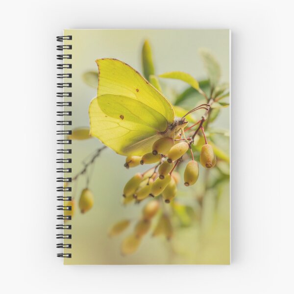 Item preview, Yellow butterfly on berberis plant designed and sold by JBlaminsky.