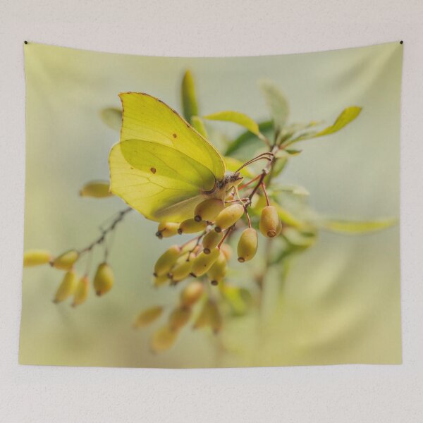 Item preview, Yellow butterfly on berberis plant designed and sold by JBlaminsky.