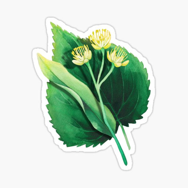 Holder to my Linden. Sticker for Sale by glitteredgold