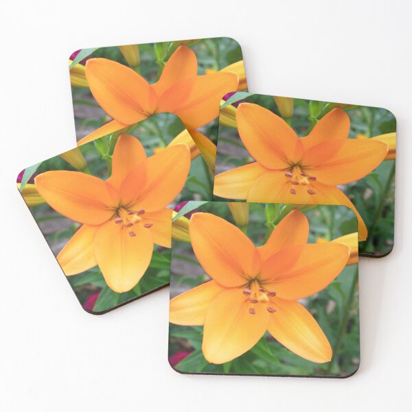 Item preview, Monet's Garden designed and sold by gingerhope.