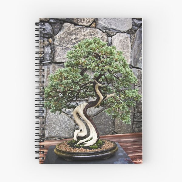 Item preview, National Arboretum Canberra designed and sold by Wolf Sverak Photography.