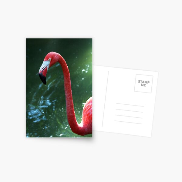 Hello there Postcard