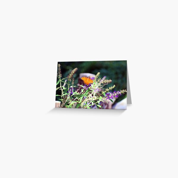 Flutterby Greeting Card