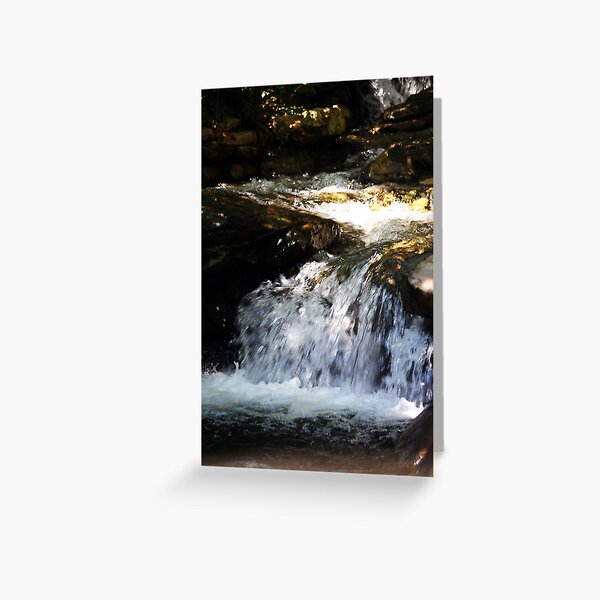Water Water Water Greeting Card