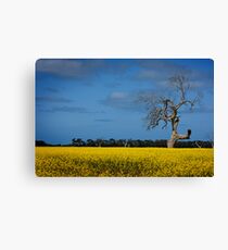 A Yellow Death Canvas Print