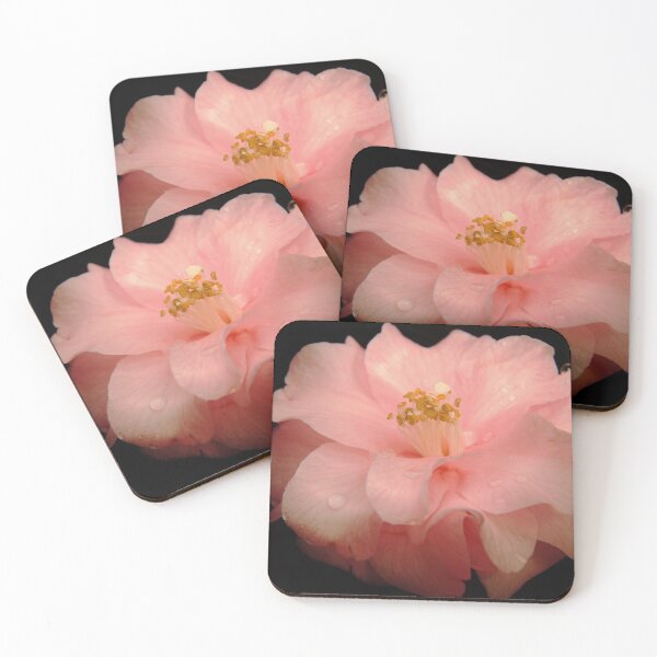 Item preview, Camellia japonica designed and sold by CameliaC.