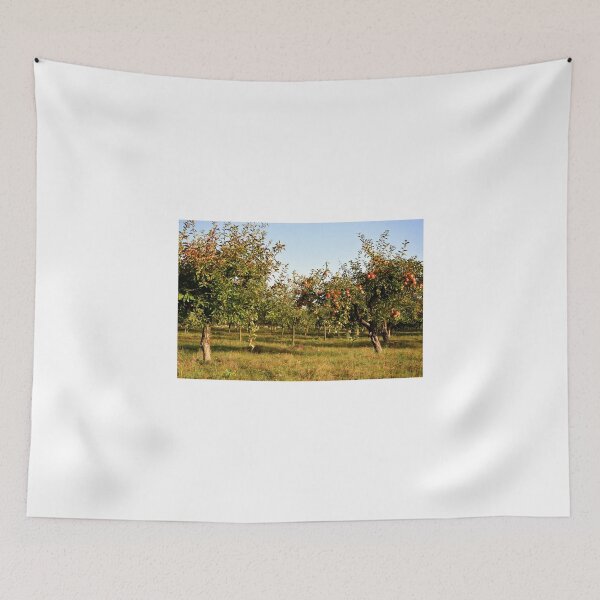 Item preview, Apple orchard designed and sold by CameliaC.
