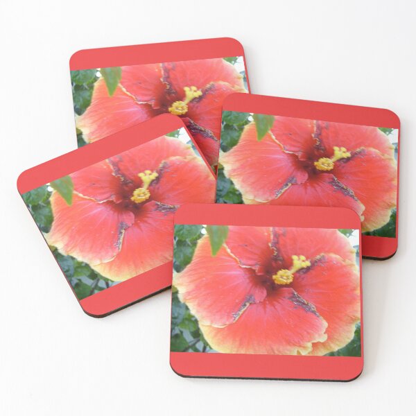 Item preview, single yellow edged ,red hibiscus designed and sold by MardiGCalero.