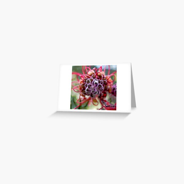 buddy I Greeting Card