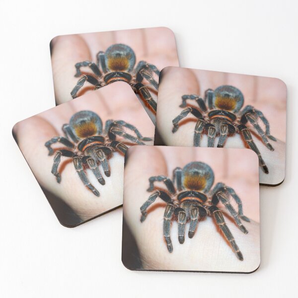 Item preview, Chile Flame Tarantula on Hand designed and sold by Nammu.