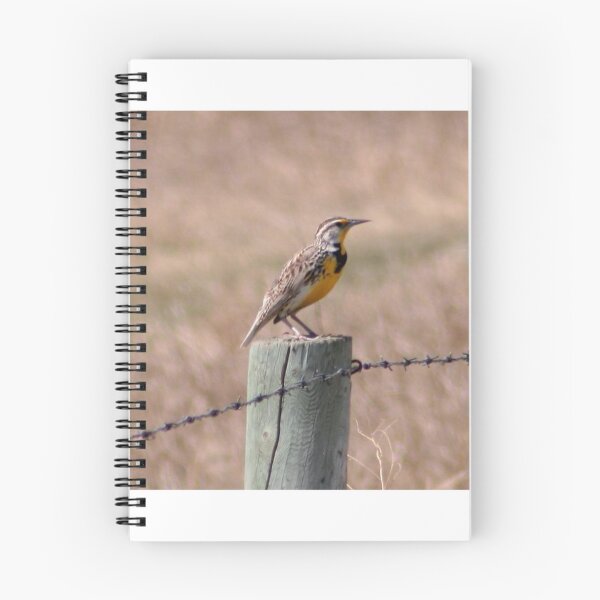 Item preview, Eastern Meadowlark designed and sold by Larry Trupp.