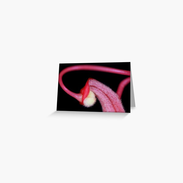 Close encounters Greeting Card