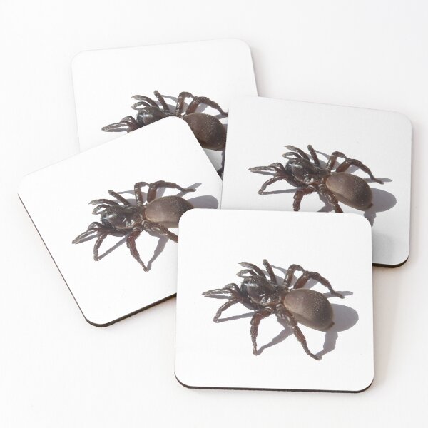 Item preview, Tarantula Spider - Scary Halloween Dress Tee - Arachnid Fright designed and sold by deanworld.
