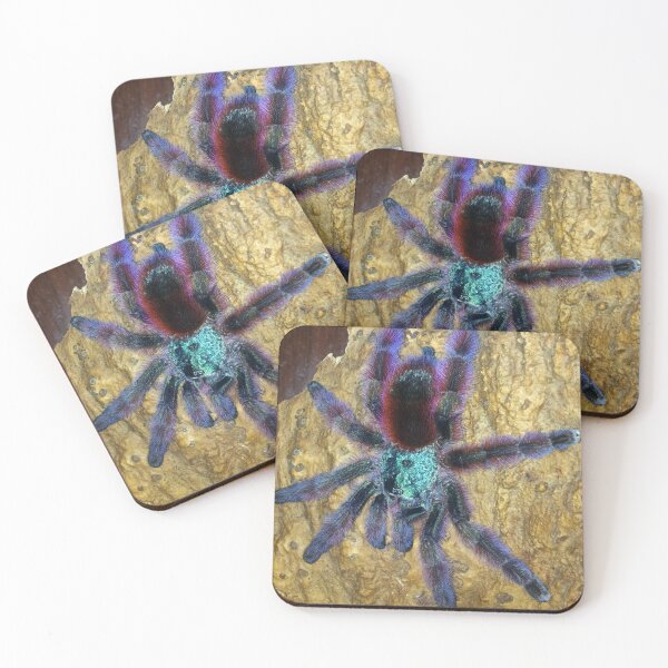 Item preview, Martinique Pinktoe Tarantula designed and sold by Nammu.