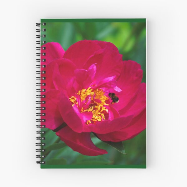Item preview, Bee pollinating designed and sold by ADM  Photography.
