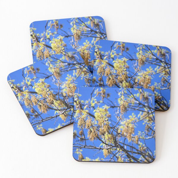Item preview,  Spring has Sprung  designed and sold by Carla Jensen.