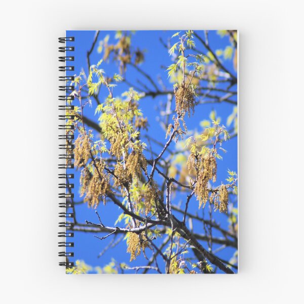 Item preview,  Spring has Sprung  designed and sold by Carla Jensen.