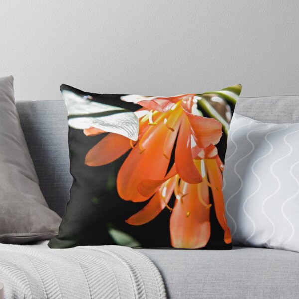 Item preview, Clivia closeup designed and sold by Frank Falco.