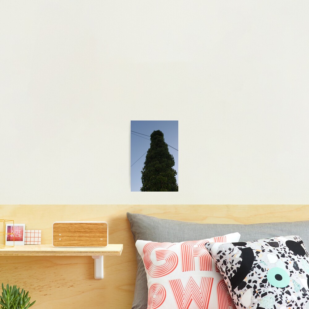 Item preview, Photographic Print designed and sold by Simon Olewicz.