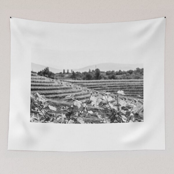 Item preview, The fields of Friuli Venezia-Giulia cultivated with grapevines designed and sold by zakaz86.