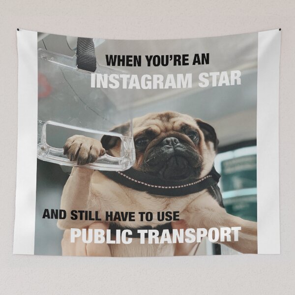 Item preview, Celebrity Pug designed and sold by MOKA META.