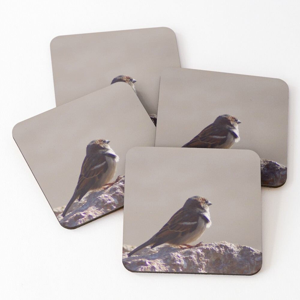 Item preview, Coasters (Set of 4) designed and sold by puffkitty3.