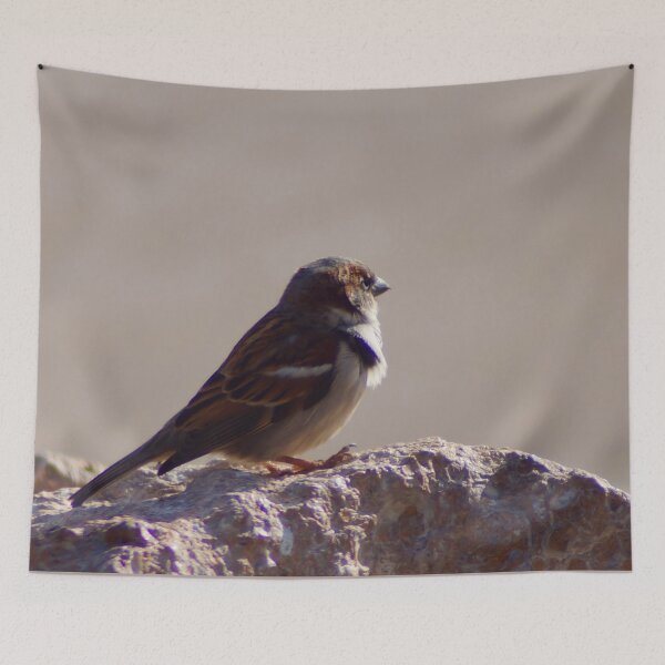 Item preview, Longing for Spring designed and sold by Carla Jensen.