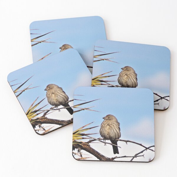 Item preview, Sparrow designed and sold by Carla Jensen.