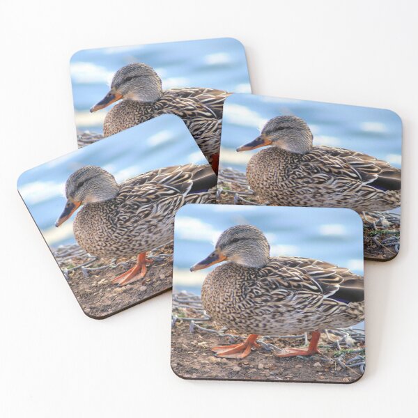 Item preview, Female Mallard Duck designed and sold by Carla Jensen.