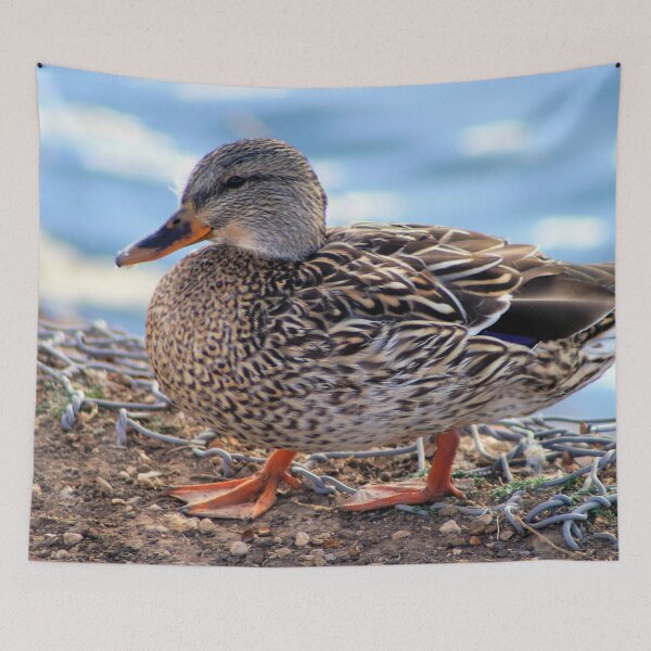 Item preview, Female Mallard Duck designed and sold by Carla Jensen.