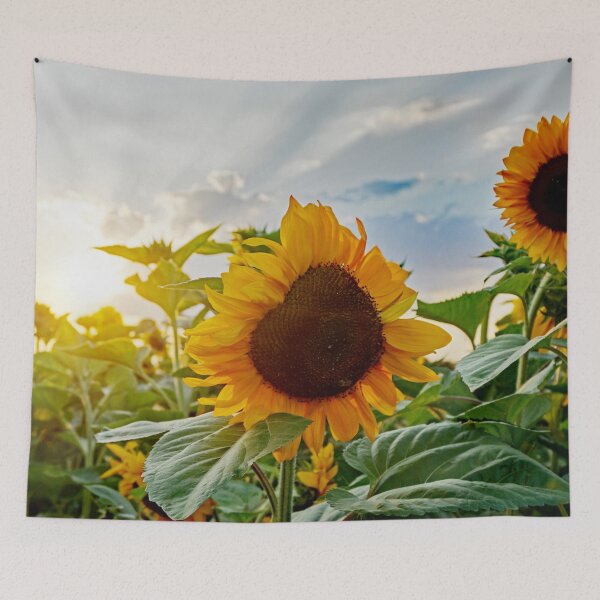 Item preview, Sunflower in the sunset designed and sold by MarionsArt.