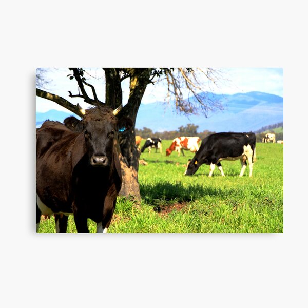 Item preview, Prudence In Her Paddock designed and sold by Natalie Ord.